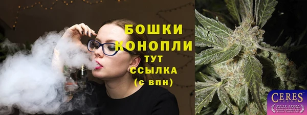 прущие грибы Верея