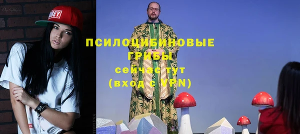 прущие грибы Верея
