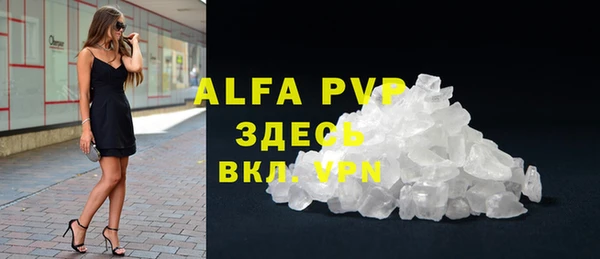 прущие грибы Верея
