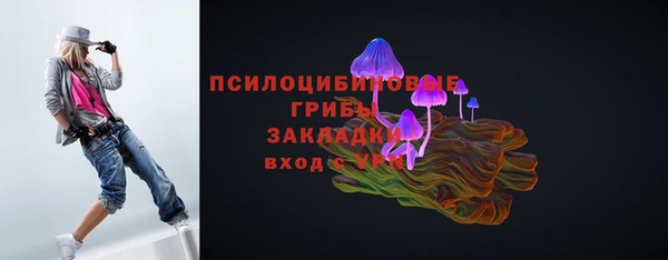 прущие грибы Верея