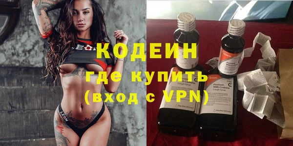 прущие грибы Верея
