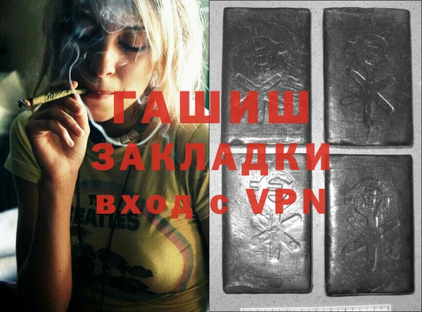 прущие грибы Верея