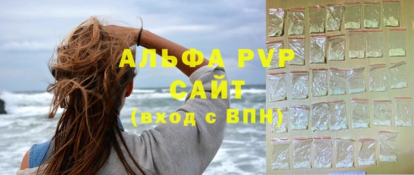 прущие грибы Верея