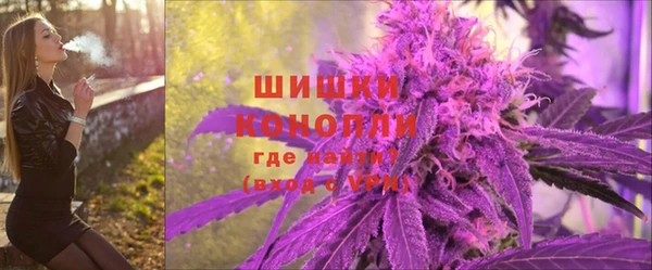 тгк Володарск