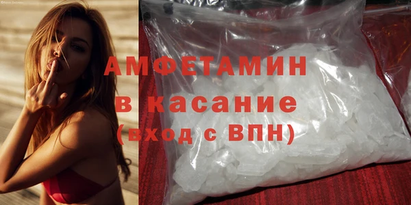 прущие грибы Верея