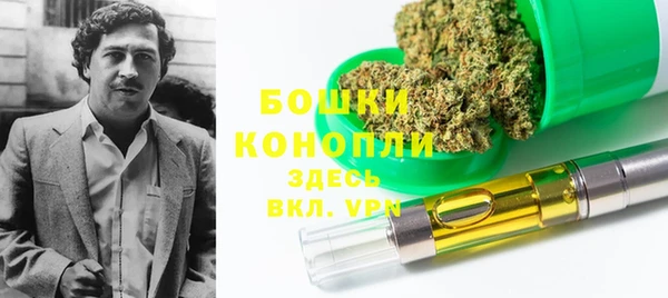 прущие грибы Верея
