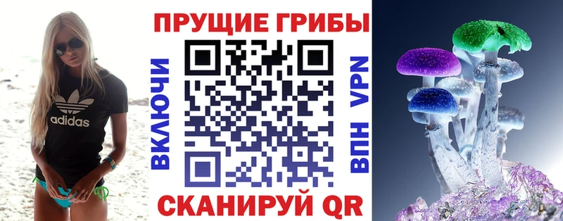 Псилоцибиновые грибы Cubensis  Купить  Красноуфимск 